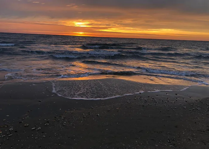 A Deux Pas De La Mer - Marseillan Plage